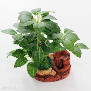 Factory Wholesale Green Plant Simulation Bonsai for Home Decoration