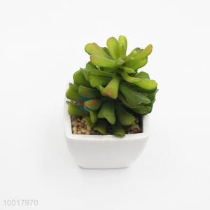 Wholesale High Quality Artificial/Simulation Potted Plant