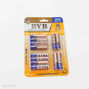 Cheap top quality 12pcs eco-friendly batteries