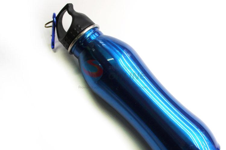 Fashion Stainless Steel Water Bottle Cheap Sports Bottle With Carabiner