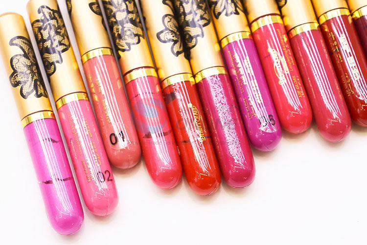 2017 Hot Long Lasting Cosmetics Lip Gloss