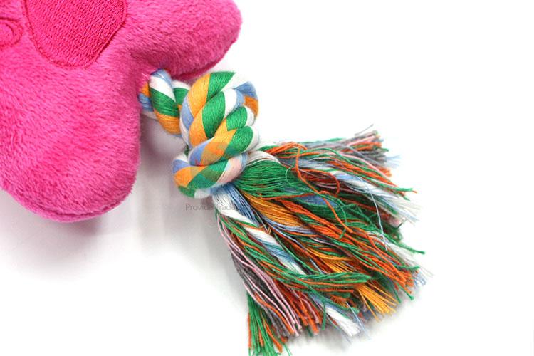 Best Selling Pet Toys for Sale