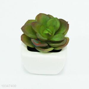 Factory Wholesale Succulent Bonsai Artificial Plant