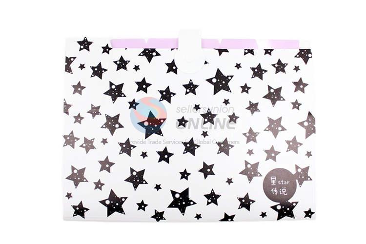 Star Pattern File Bag