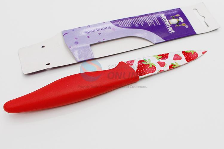 Factory OEM kitchen utensil stainless steel fruit knife