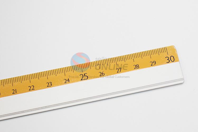 Factory Excellent Scale Plastic Ruler for School Students