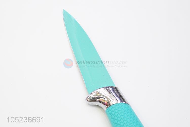 Delicate Design Colorful Fruit Knife Kitchen Knife