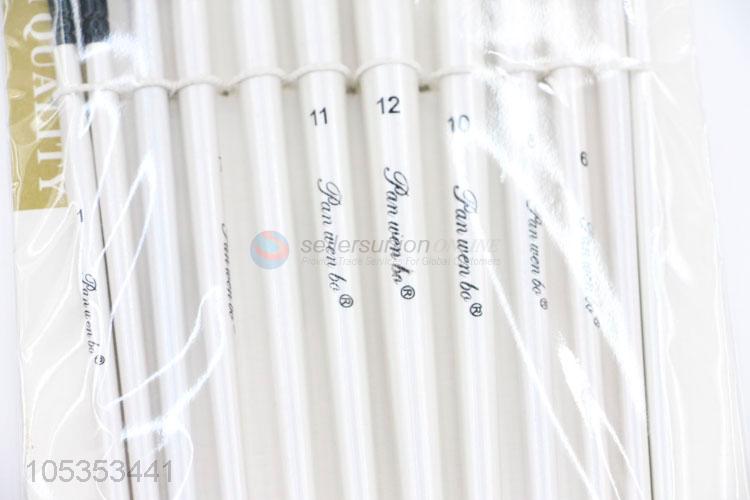 Factory Sale 12pcs Nylon Hair Artist Painting Brushes