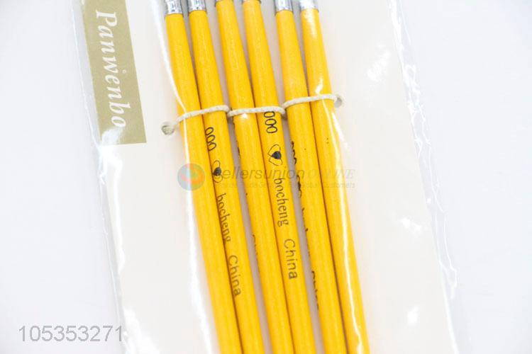 Unique Design 6pcs Paint Brushes for Art Student Drawing