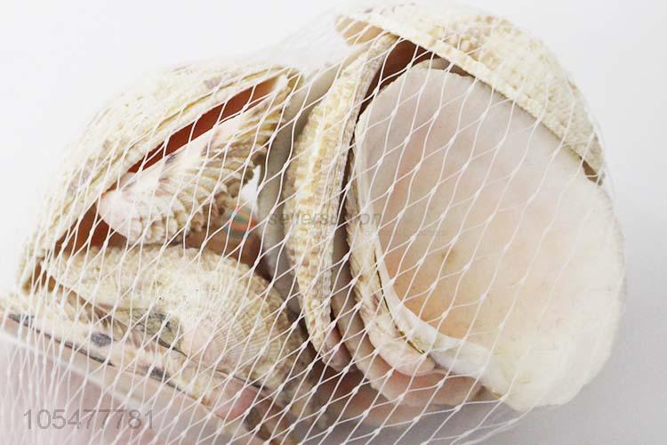 Popular Sea Shell Best Decorative Shell Craft