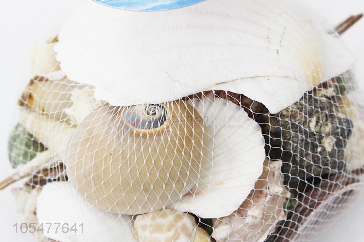 Hot Selling Natural Shell Best Decorative Craft