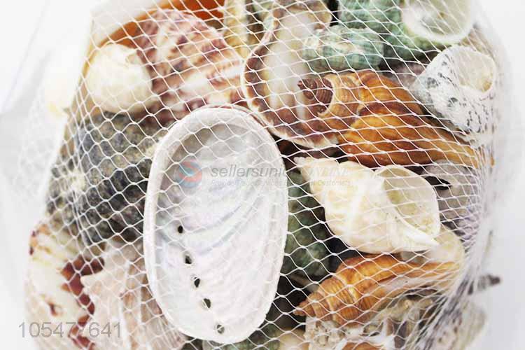 Hot Selling Natural Shell Best Decorative Craft