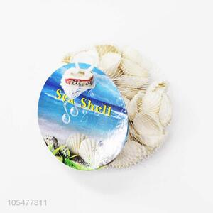 High Quality Natural Sea Shell Best Conch Crafts