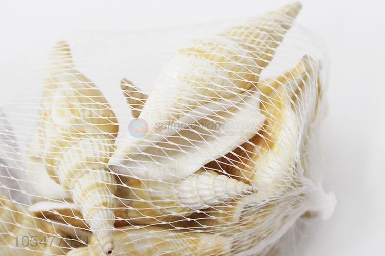 Good Sale Natural Sea Shell Beautiful Shell Craft Set