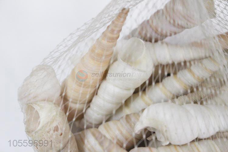 Hot Selling Natural Shell Best Craft Gift