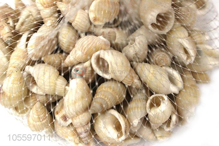 Delicate Design Fashion Shell Craft Decorative Shell