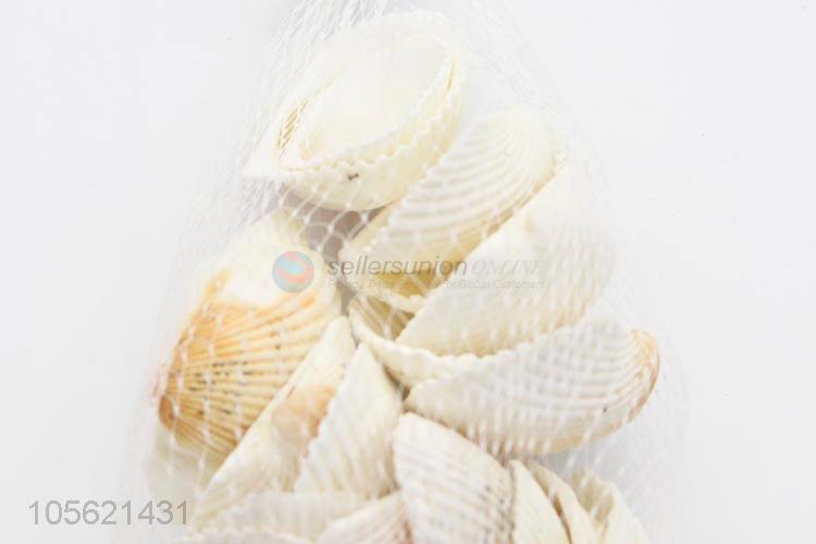 Reasonable Price Seashells Decorations Scallop Shells Crafts Decor Ornament