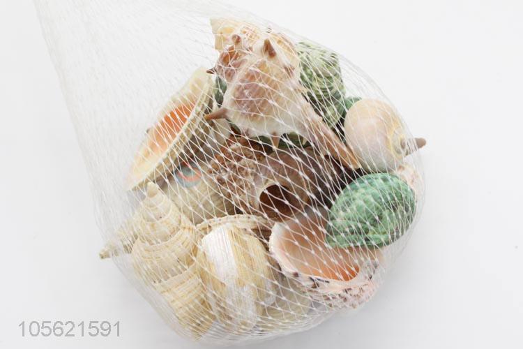 Wholesale Unique Design Home Decor Natural Sea Beach Shell Crafts