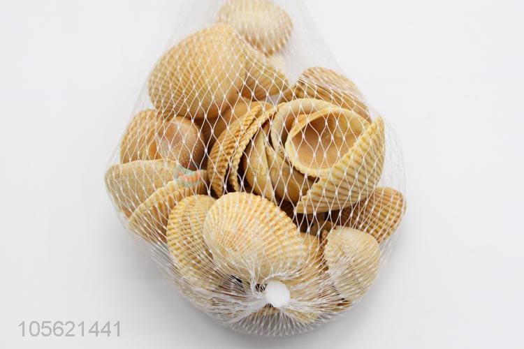 Competitive Price Natural Conch Shells Aquarium Decoration