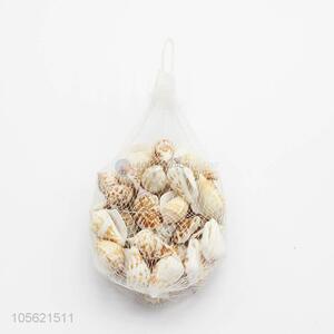 Factory Price Aquarium Decoration Conch Shells