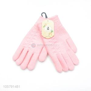 Best Price Winter Warm Gloves Ladies Outdoor Gloves