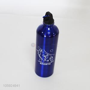 Factory Excellent Sports Bottle