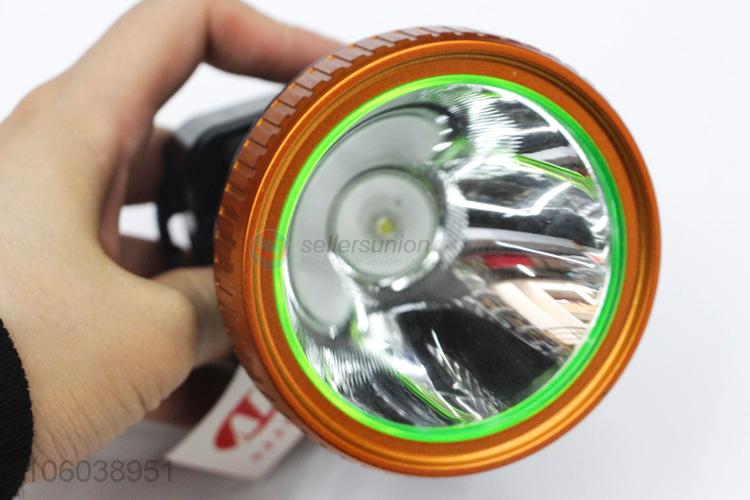 Recyclable Chargeable Battery Head Light LED Light