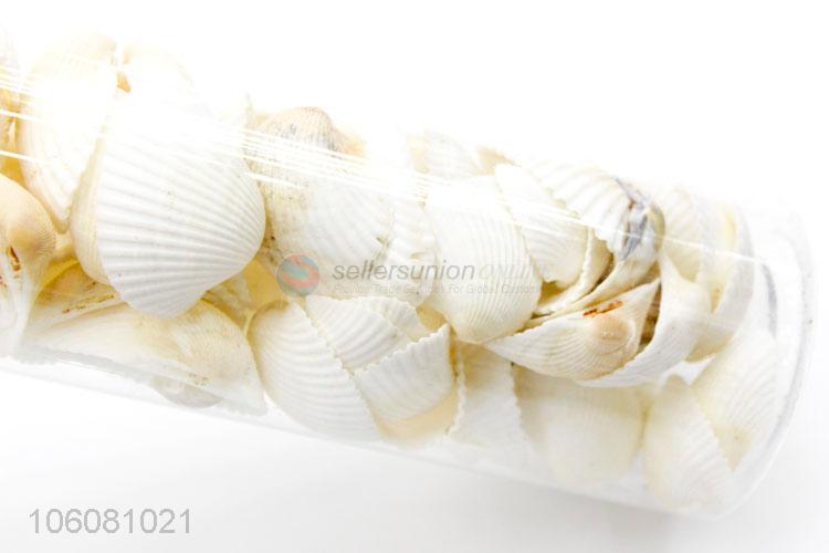 New design sea shells shell craft decor ornaments