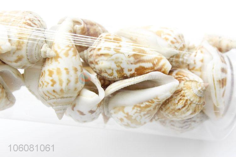 Unique design natural sea shell set best decoration