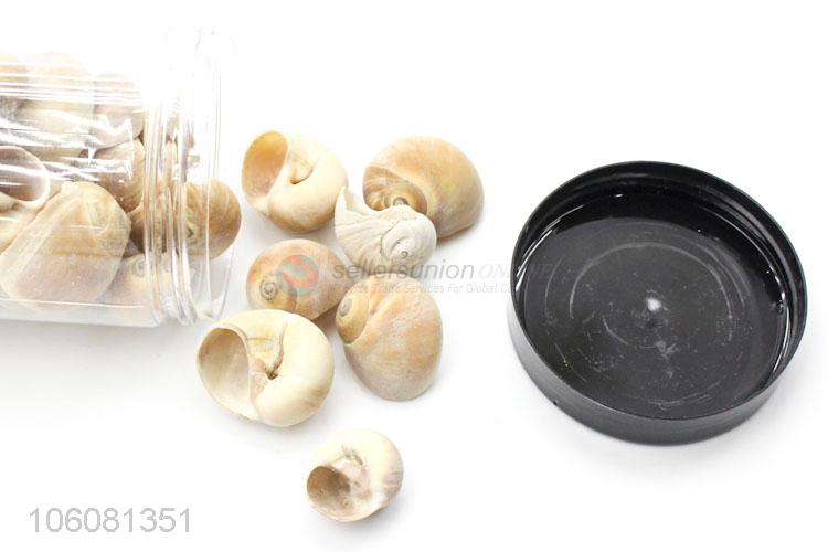 cheap assorted sea shells beach crafts for home decoration