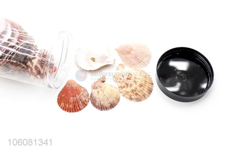 Top quality sea shell fashion shell/conch crafts