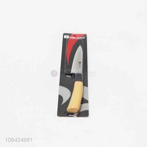 Hot Sale Stainless Steel Fruit Knife