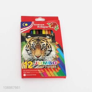 Wholesale 12 Pieces Colour Pencil Set Fashion Stationery