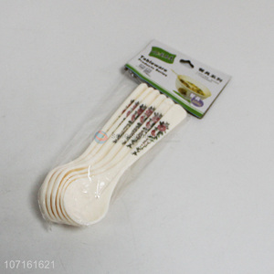 Fashion Style 6 Pieces Plastic Spoon Soup Spoon