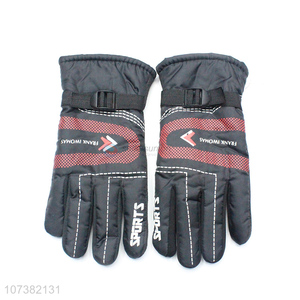 Fashion Design Adult Waterproof Windproof Sport Gloves