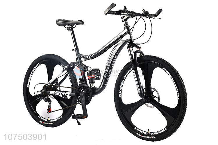 Popular Mountain Cycling Carbon Steel Frame Mountain Bike