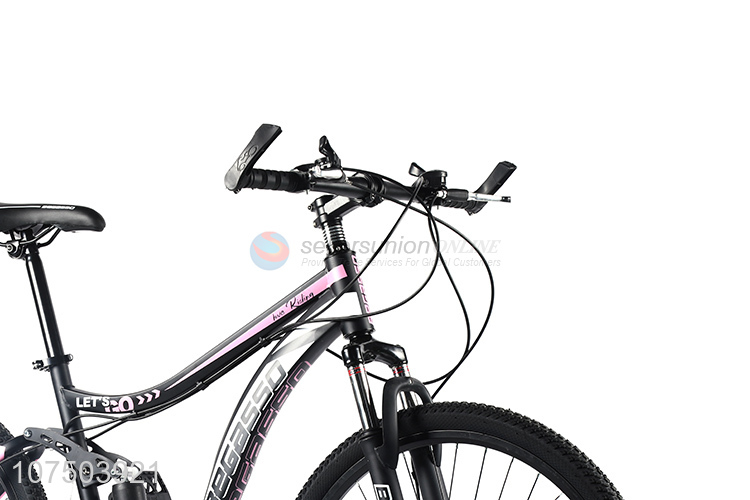 Custom Big Brand Mountain Bike Carbon Steel Frame Bicycle