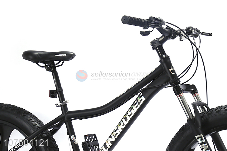 Best Selling Popular Style 26 Inch Snowbike Mountain Bike