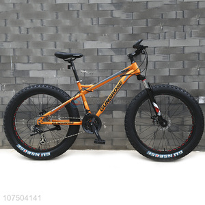 Newest Model 26 Inch Fat Tire Mountain Bike Snow Bike