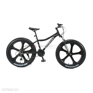 Best Selling Popular Style 26 Inch Snowbike Mountain Bike