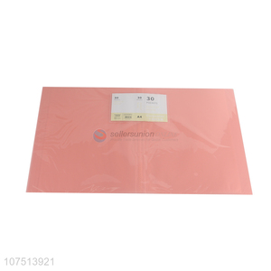 High Quality 30 Pockets Display Book Best File Folder