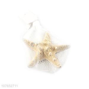 High Quality Artificial Starfish Fashion Craft For Decoration