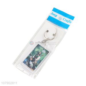 Best Quality Rectangle Acrylic Tag Keychain Cheap Key Ring