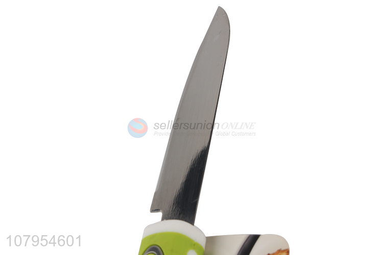 China products stainless steel fruit paring knife kitchen knives