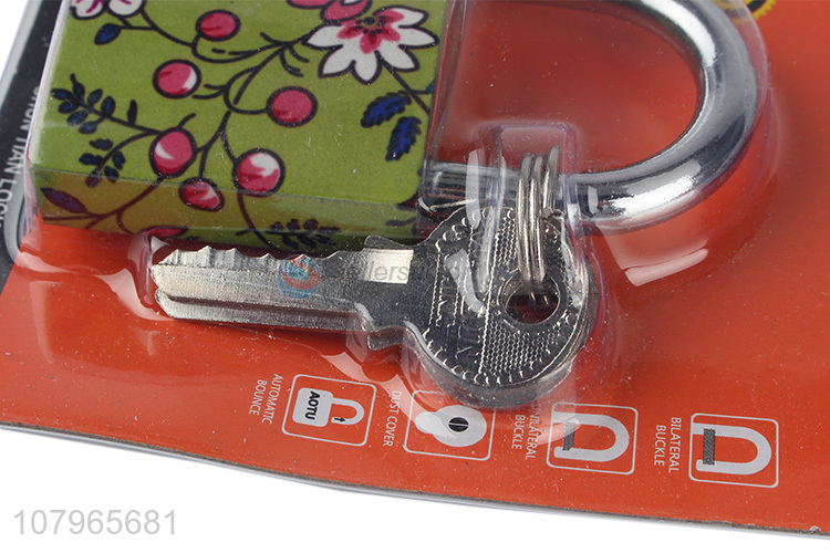 China exports printing creative padlock universal household padlock