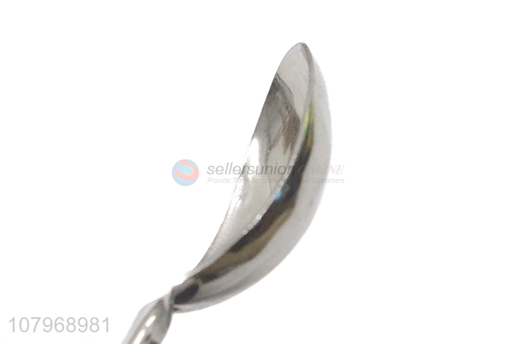 Fashion Plastic Handle Stainless Steel Spoon Ice Cream Scoop