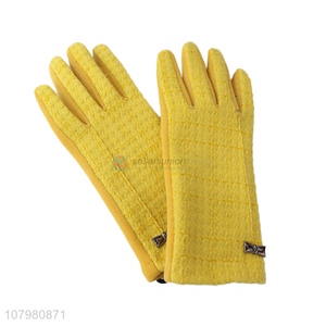 Popular Ladies Winter Leisure Warm Gloves Fashion Driving Gloves