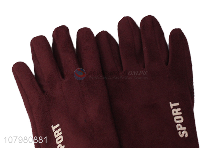 Hot Selling Ladies Winter Outdoor Warm Gloves Fashion Gloves