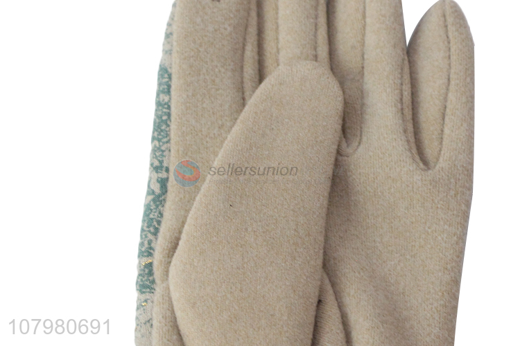 Fashion Design Winter Outdoor Windproof Warm Gloves For Women