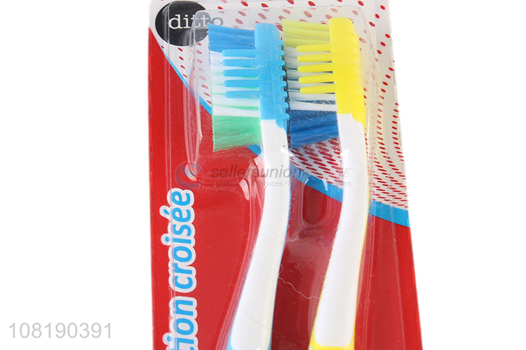 Good Price 2 Pieces Colorful Toothbrush For Adults